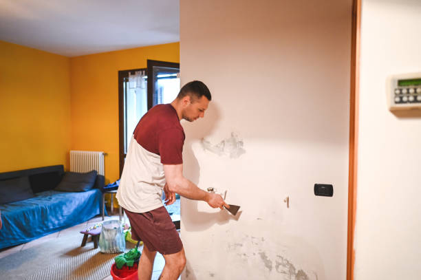 Best Insurance-Related Mold Remediation in Lawrence, NY
